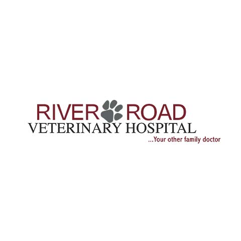 Paige McAndrews | River Road Veterinary Hospital